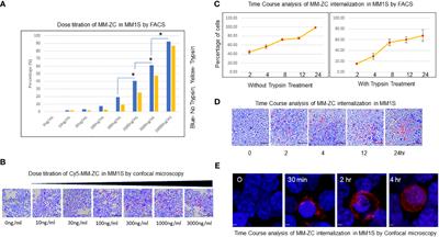 A retrotransposon-derived DNA zip code internalizes myeloma cells through Clathrin-Rab5a-mediated endocytosis